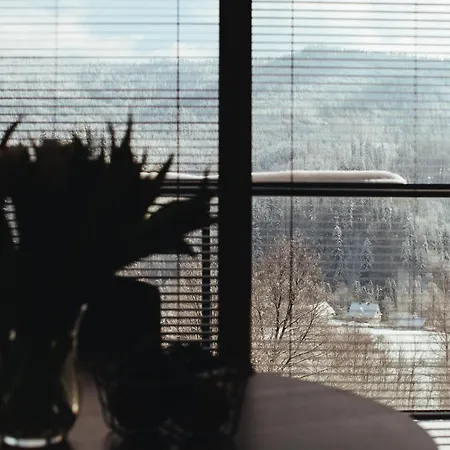 Apartment 'okno Z Widokiem' *